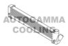 AUTOGAMMA 105686 Intercooler, charger